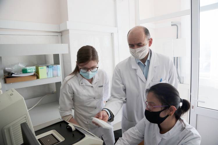 В НИУ «БелГУ» запатентованы четыре новых изобретения в области медицины и экспериментальной фармакологии 
