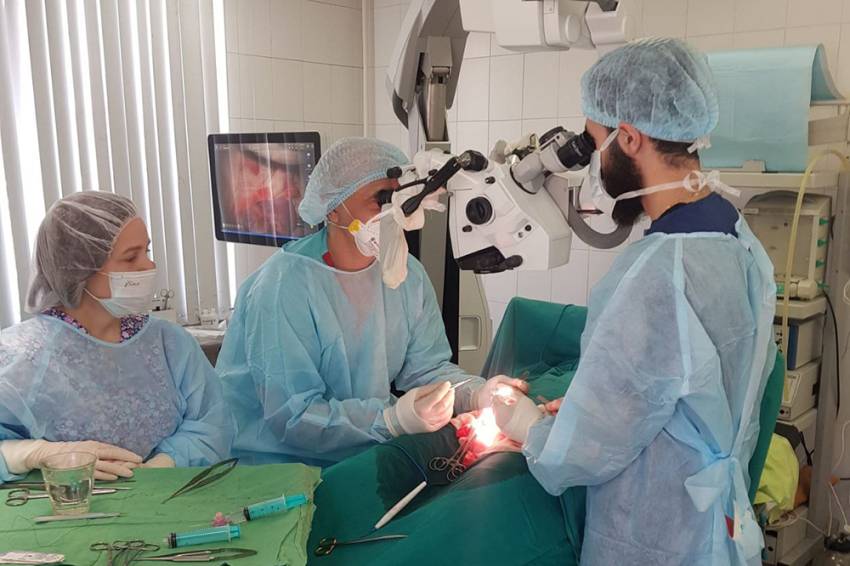 Учёные НИУ «БелГУ» предложили новый способ хирургического лечения рака почки