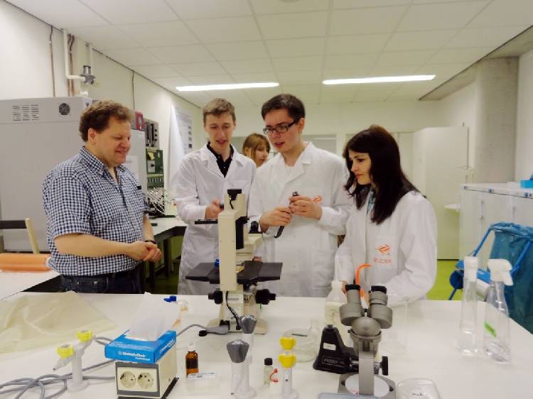 Продолжение научного сотрудничества с Нидерландами