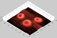 Голограмма красных телец крови здорового человека. Эритроциты двояковогнутые