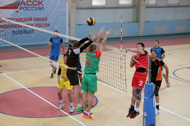 The best volleyball teams of Russia have gathered at BelSU 