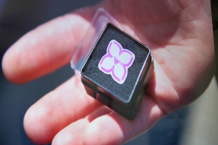 The Belgorod Lilac trademark is registered.