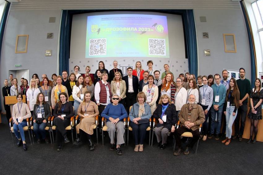 Исследования учёных НИУ «БелГУ» получили высокую оценку на Всероссийской конференции