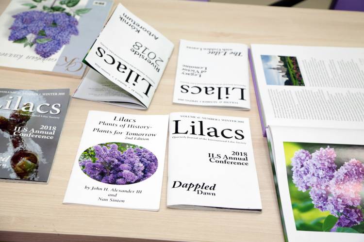 The Belgorod Lilac Project Is in Full-Swing