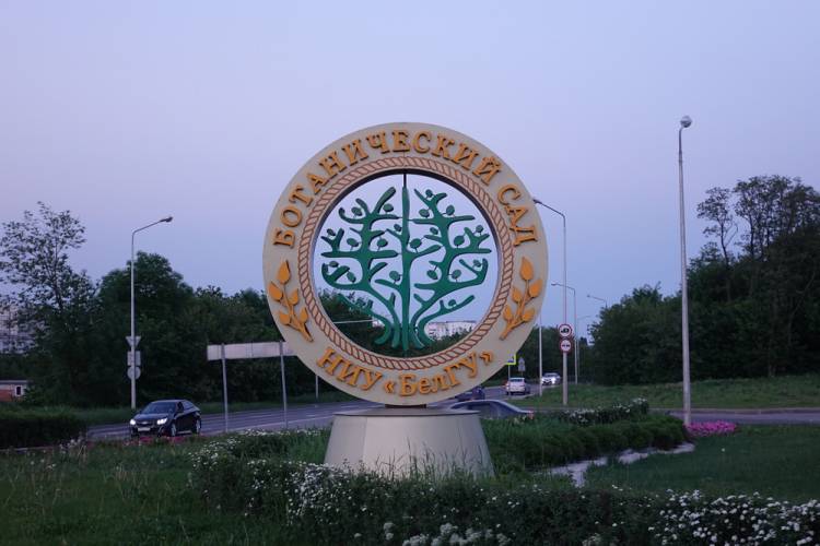 Одной из улиц областного центра присвоят название Белгородской сирени